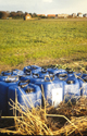 shelf of pesticides