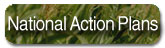 National Action Plans