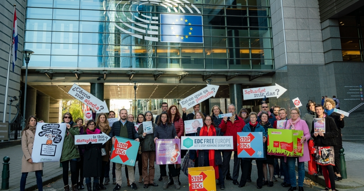 Ngos Call On Eu Regulators To Protect Europeans From Endocrine