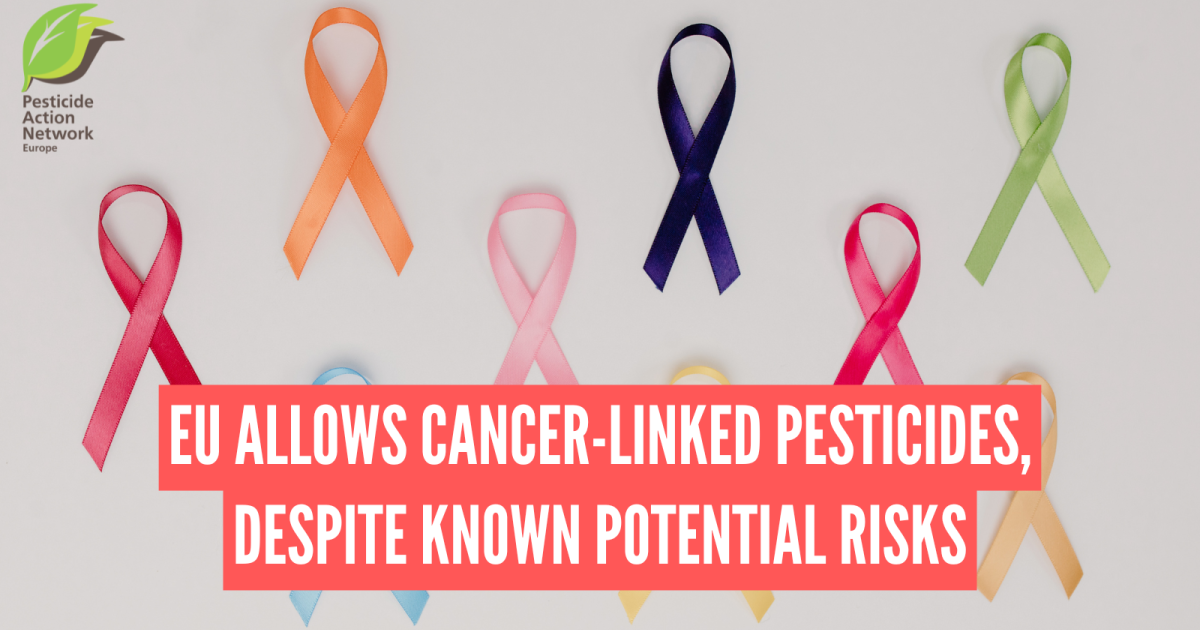 EU allows cancer-linked pesticides, despite known potential risks