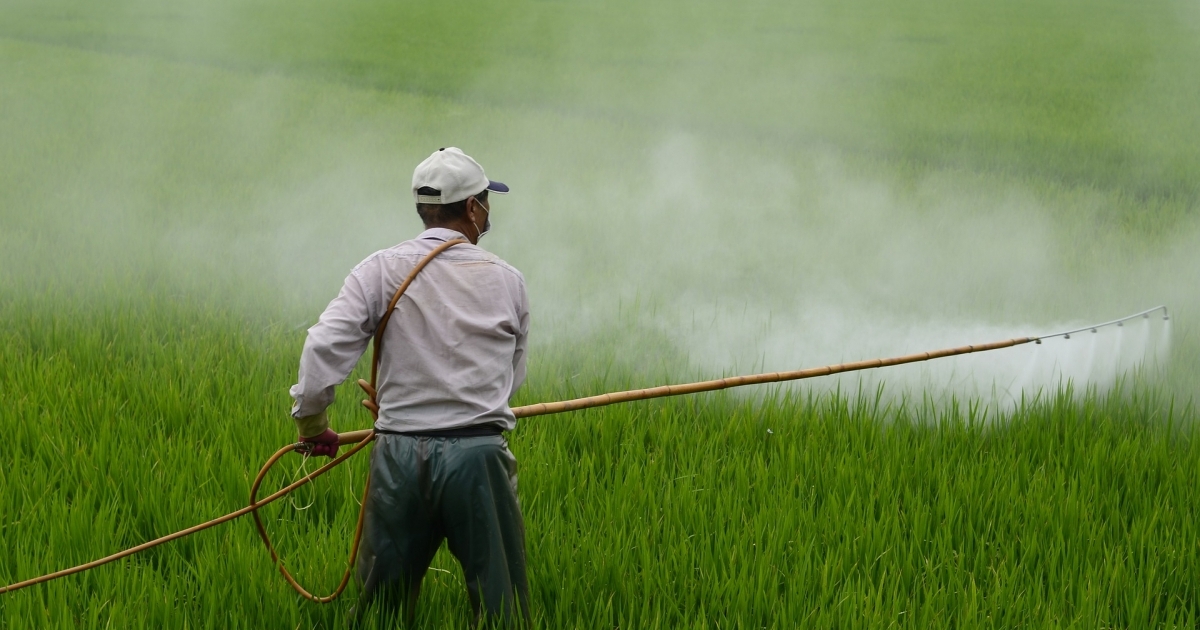 Why is FAO so complacent with Syngenta's killer herbicide Paraquat ?