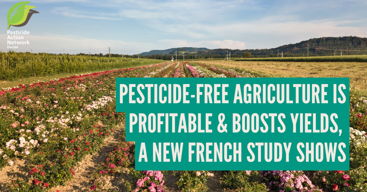 Pesticide-free agriculture is profitable and boosts yields, a new French study shows