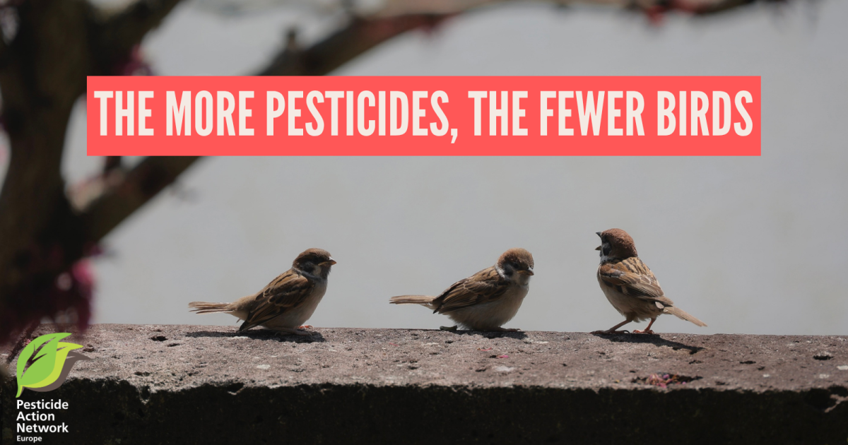 The more pesticides, the fewer birds
