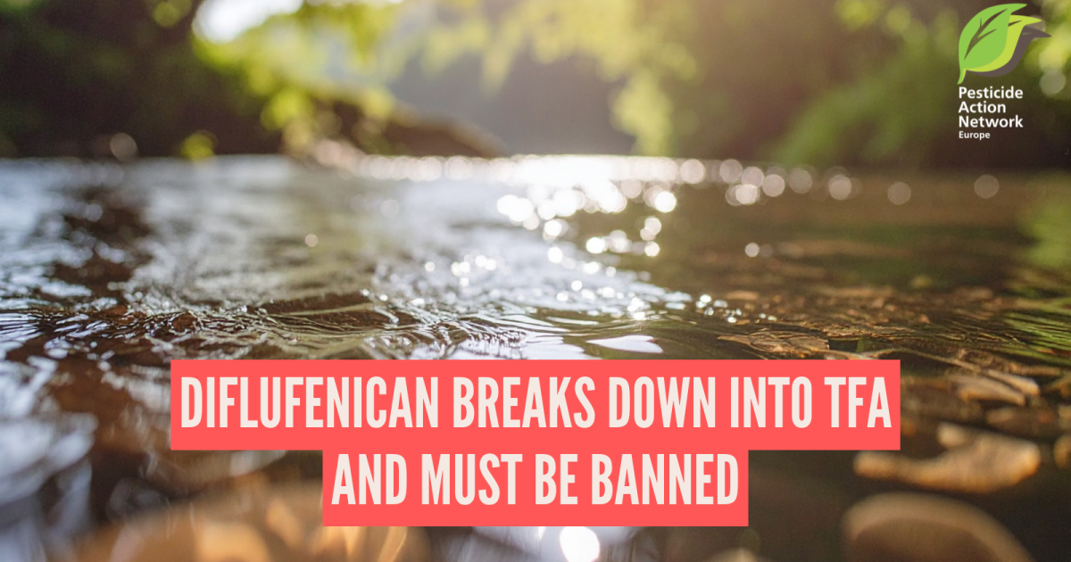 Diflufenican breaks down into TFA and must be banned