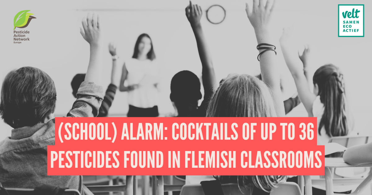Flemish Classroom Dust Contains Up to 36 Pesticides, First European School Study Finds